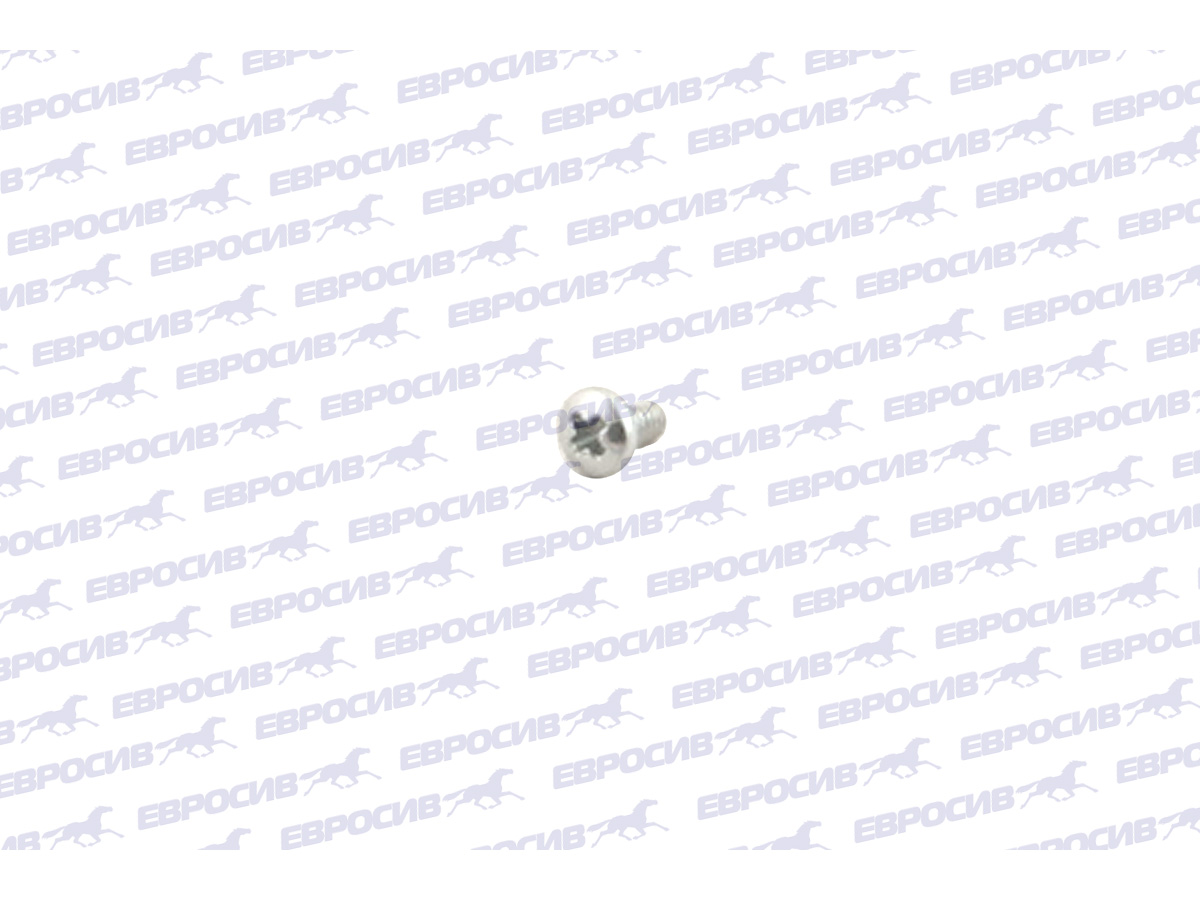 75-104-2  Винт для колесного адаптера ELITE, 4-40 X 3/16"